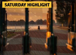 USA Preview – Woodbine Mile Tips