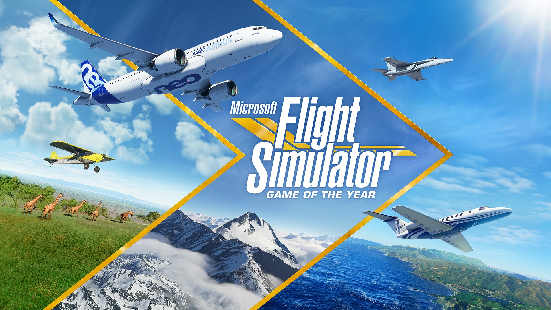 Microsoft Flight Simulator GOTY Key Art