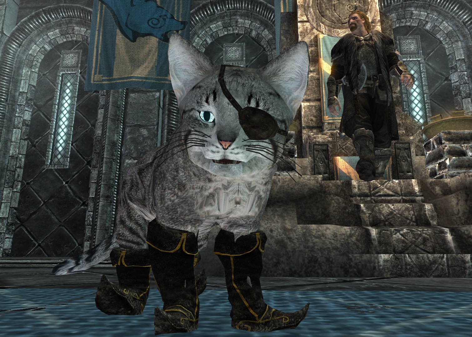 Cats of the Jarls