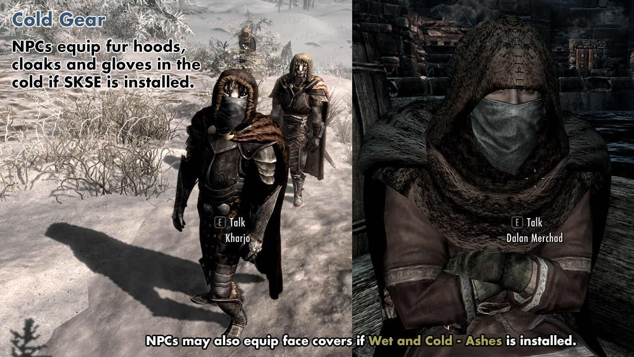 the best skyrim mods: wet and cold