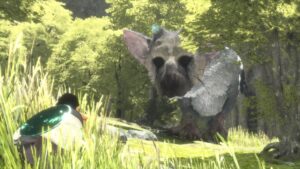 The Last Guardian Was An Unforgettable Experience