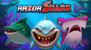 Razor Shark Game – Everything You Need To Know