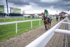 4 outsiders to keep an eye on at Cheltenham