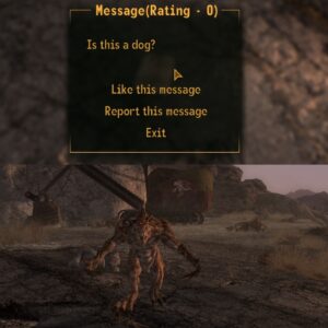 Elden Ring message system modded into Fallout: New Vegas