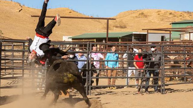 Johnny Knoxville getting tossed into the air by a bull in Jackass Forever