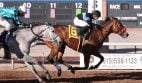 New Mexico Horse Racing Regulator Faces Ethics Complaint from Racehorse Owners