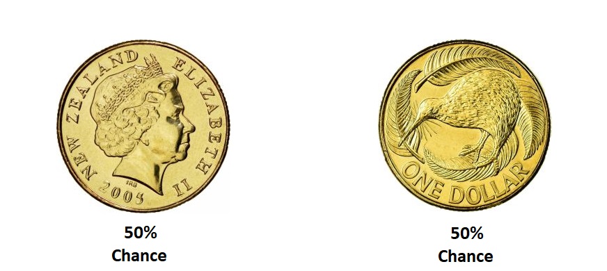one new zealand dollar coin from both sides.