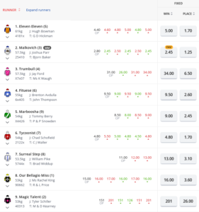 Hawkesbury Gold Rush Tips, Odds and Field – 2022