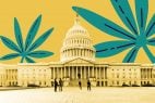Marijuana Reclassification Odds Remain Long Due to US Senate Opposition