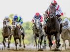Preakness Handle Down from 2021; Belmont Unlikely for Early Voting, Epicenter