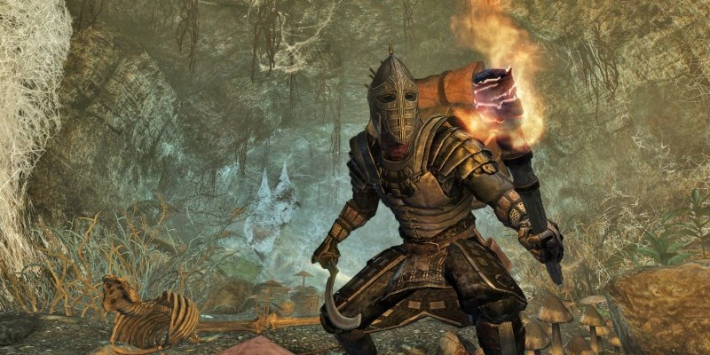 Enderal - An adventurer with a torch stands warily