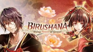 Birushana: Rising Flower of Genpei Nintendo Switch Review