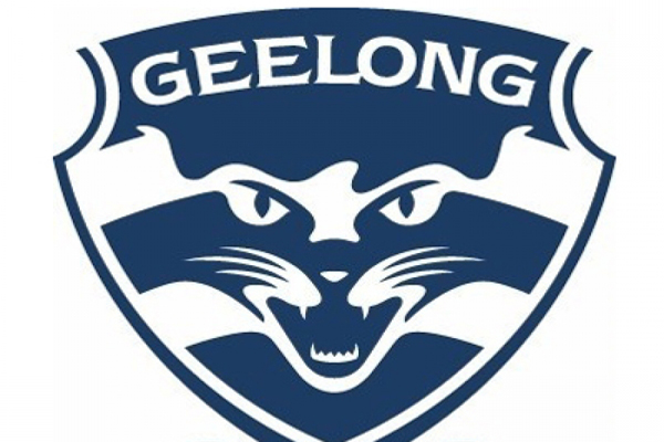Geelong Cats vs Brisbane Lions Tips and Odds – AFL Finals 2022
