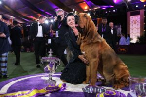 Trumpet just became the first Bloodhound to ever win the Westminster Dog Show