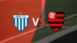 Avai vs Flamengo Match Analysis and Prediction