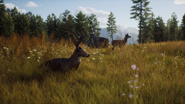 way of the hunter review 2