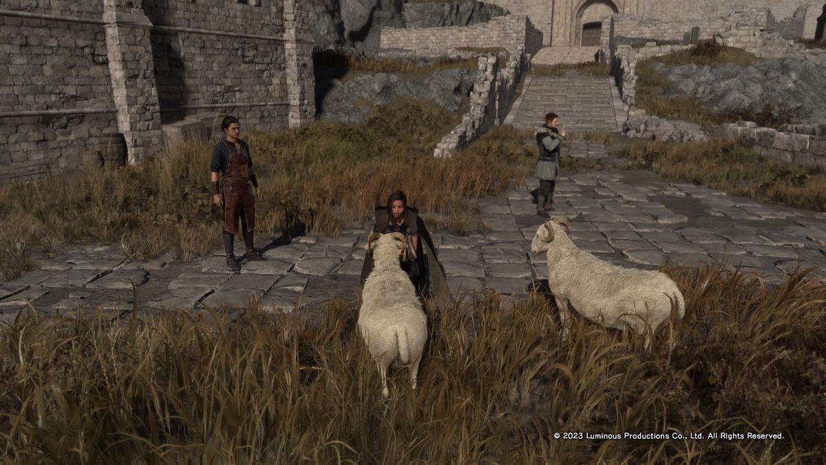 An image of Frey kneeling down to feed a sheep in Forspoken. The world looks sort of drab — the grass looks sort of dry and dead, but the sheep are cute! 