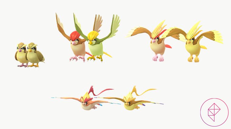 Shiny Pidgey, Pidgeotto, Pidgeot, and Mega Pidgeot with their regular forms in Pokemon Go. Each shiny gets a golden tint.