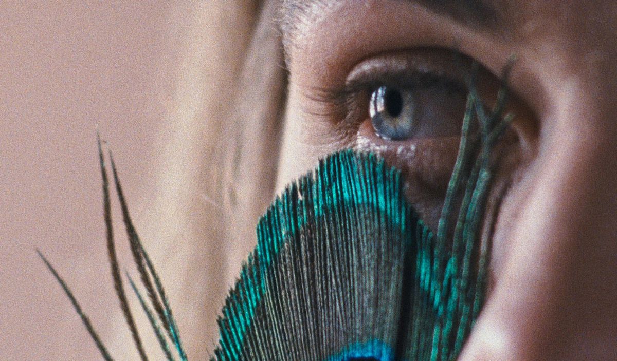 An extreme close up shot of a woman’s eye perched above the bristles of a peacock feather.