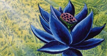 Magic: The Gathering's Black Lotus رکورد دیگری را شکست