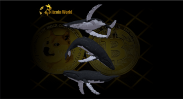 Whales Abruptly Move $195,231,414 in Shiba Inu Rival and Bitcoin From Top Crypto Exchange Amid Market Turbulence