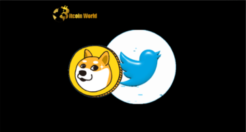 Dogecoin: Dependency on Twitter Spurs Volatility, Investors Concerned