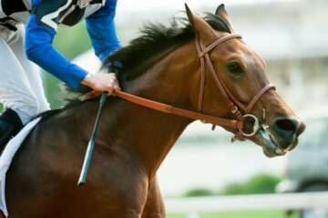 Churchill Downs Launches Probe as Horse Deaths Overshadow Kentucky Derby Build-Up