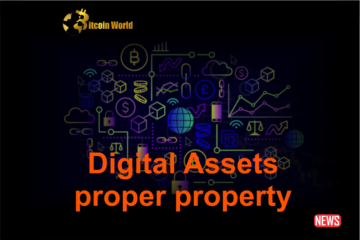 Digital Assets Should be Valued as ‘Proper Property’ — Sandbox Co-founder - BitcoinWorld