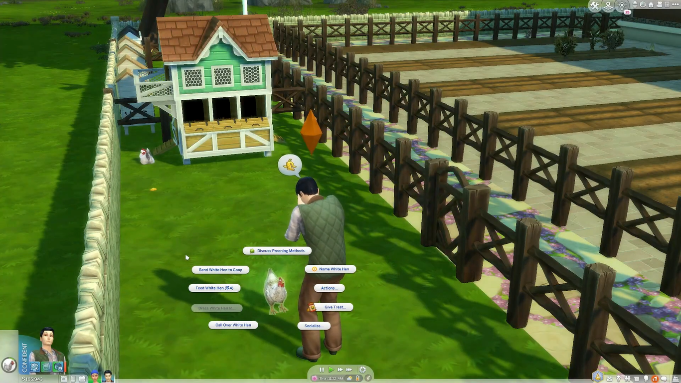 วิธีทำความสะอาดไก่ของคุณใน Sims 4