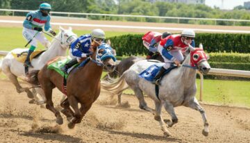 How Online Horse Race Betting Works | Full Guide | JeetWin Blog