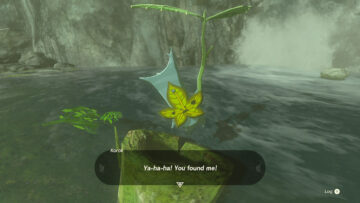 How to solve the Korok cork puzzles in Tears of the Kingdom (TotK)