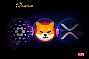 XRP, ADA and SHIB Are Among Potential Undervalued Cryptos, Santiment Analysis Shows - BitcoinWorld