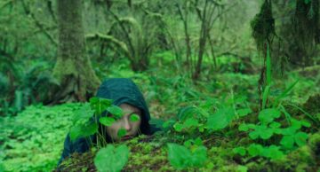 Watch Leave No Trace, the best-reviewed movie in Rotten Tomatoes history, before it leaves Netflix