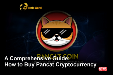 راهنمای جامع: نحوه خرید ارز دیجیتال Pancat