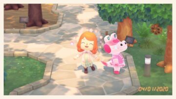Animal Crossing : New Horizons Gayle 주민 가이드