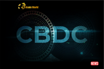 CBDCs – The Ultimate Tool for the Global Economy or a Significant Danger to Financial Stability