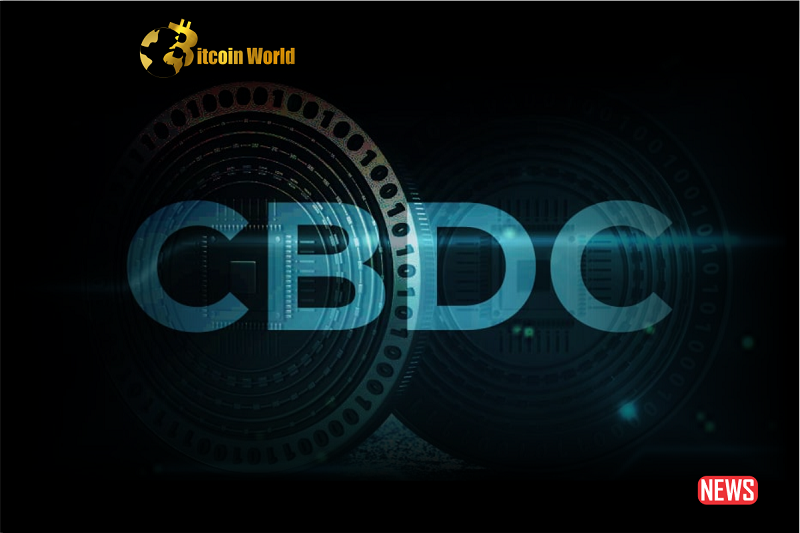 CBDCs – The Ultimate Tool for the Global Economy or a Significant Danger to Financial Stability