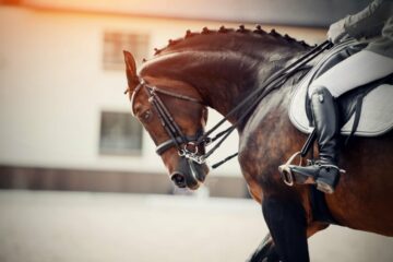 24+ Horses Dead After Tioga Downs Casino Arson Attack