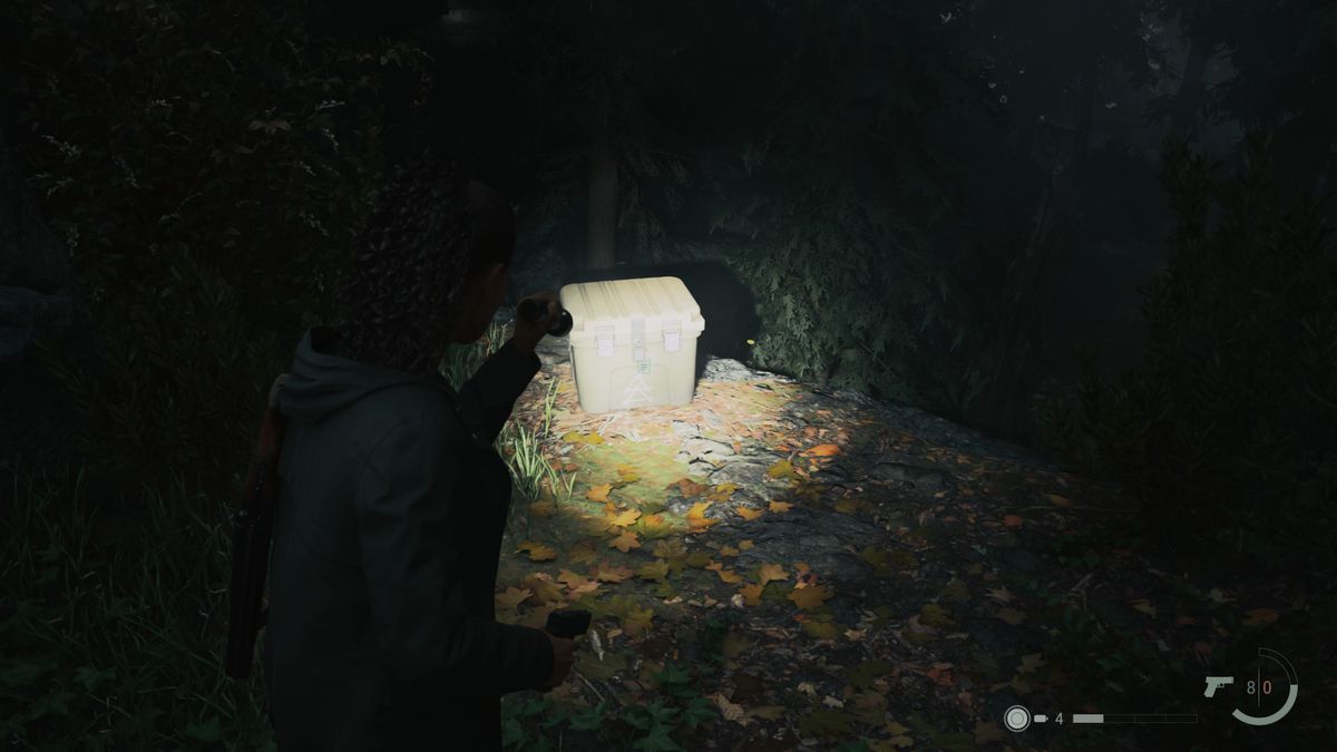 A cult stash case sitting on the ground in Watery in Alan Wake 2