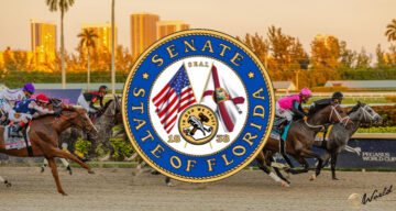 سناتور فلوریدا لایحه ای را برای اجازه گسترش تسهیلات Parimutuel پیشنهاد می کند