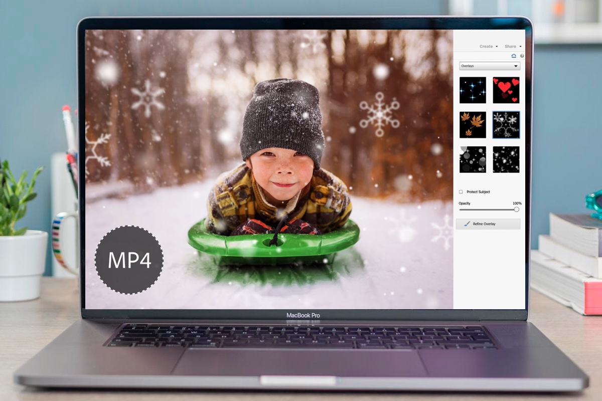 Adobe Photoshop Elements Review