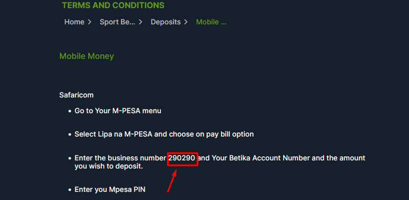 Paybill number on Betika
