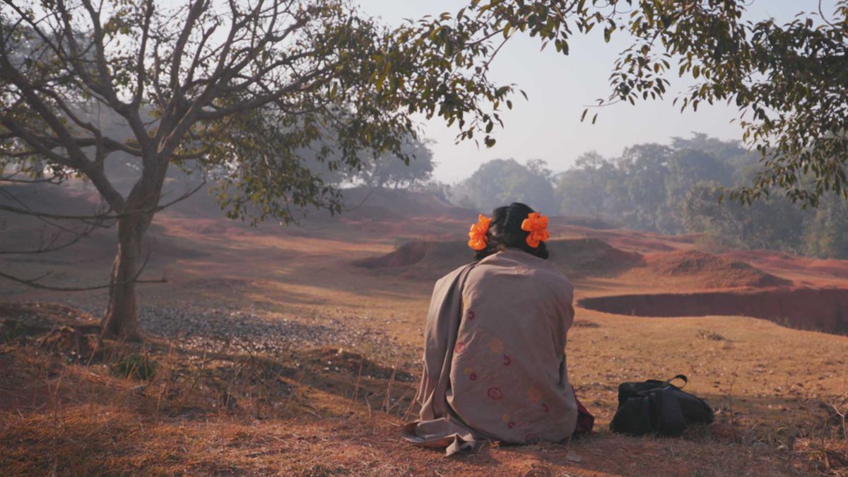 The back of a person with orange bows in their hair looking out at field of plains and trees.